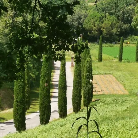 Cascina Cipressa San Romano (Pisa)