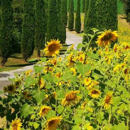 Cascina Cipressa 3*