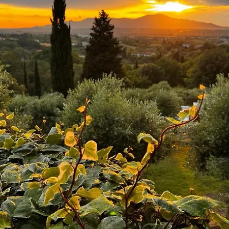 Cascina Cipressa Hotel 3*