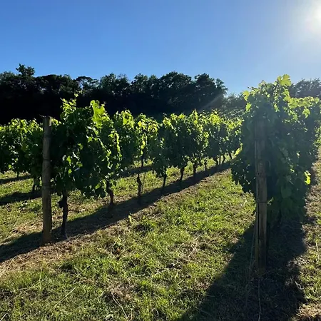 Cascina Cipressa 3* San Romano (Pisa)